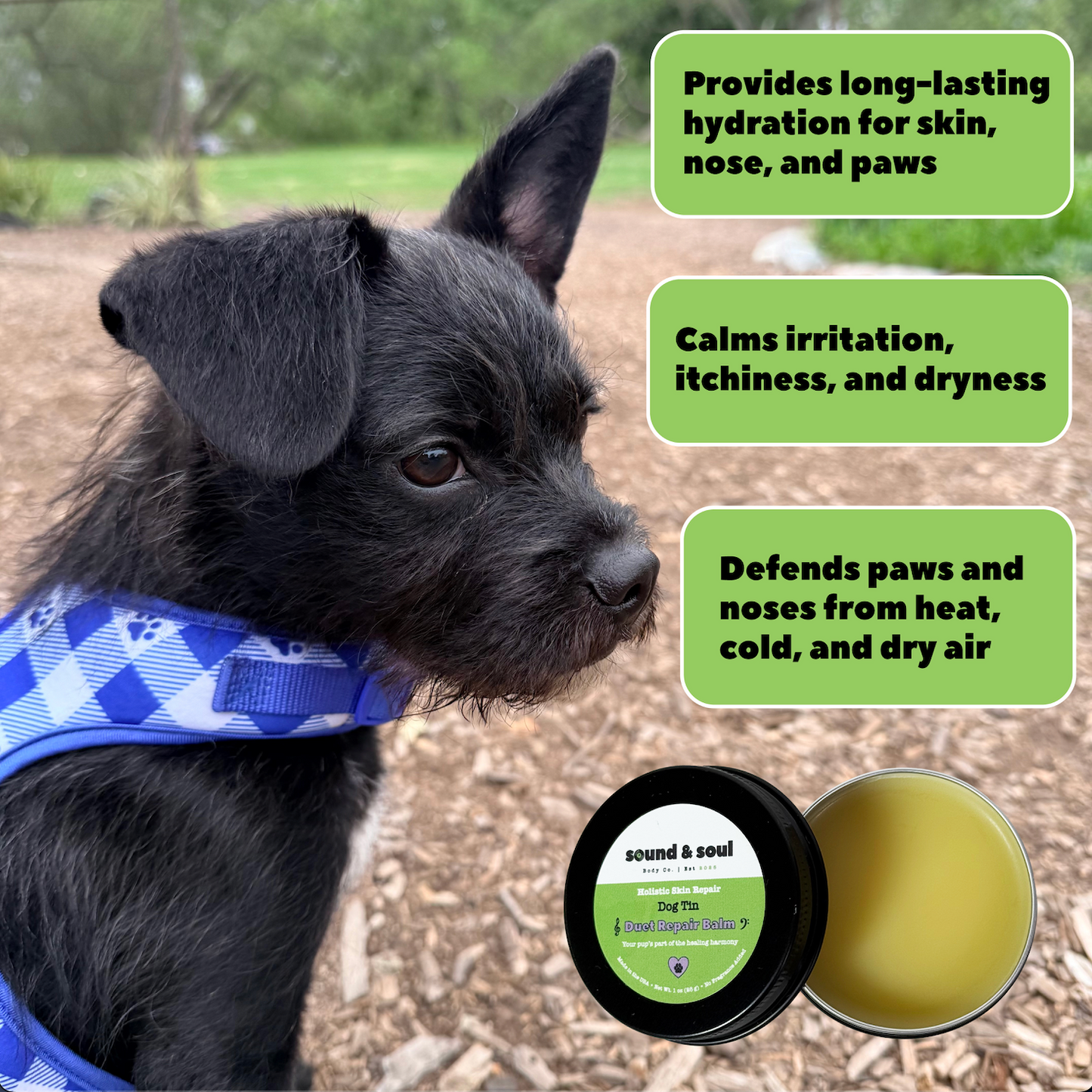 Duet Repair Balm Duo Set | Human & Dog Repair Balm | Calendula Skin & Paw Moisturizer | Matching Pet & Owner Gift