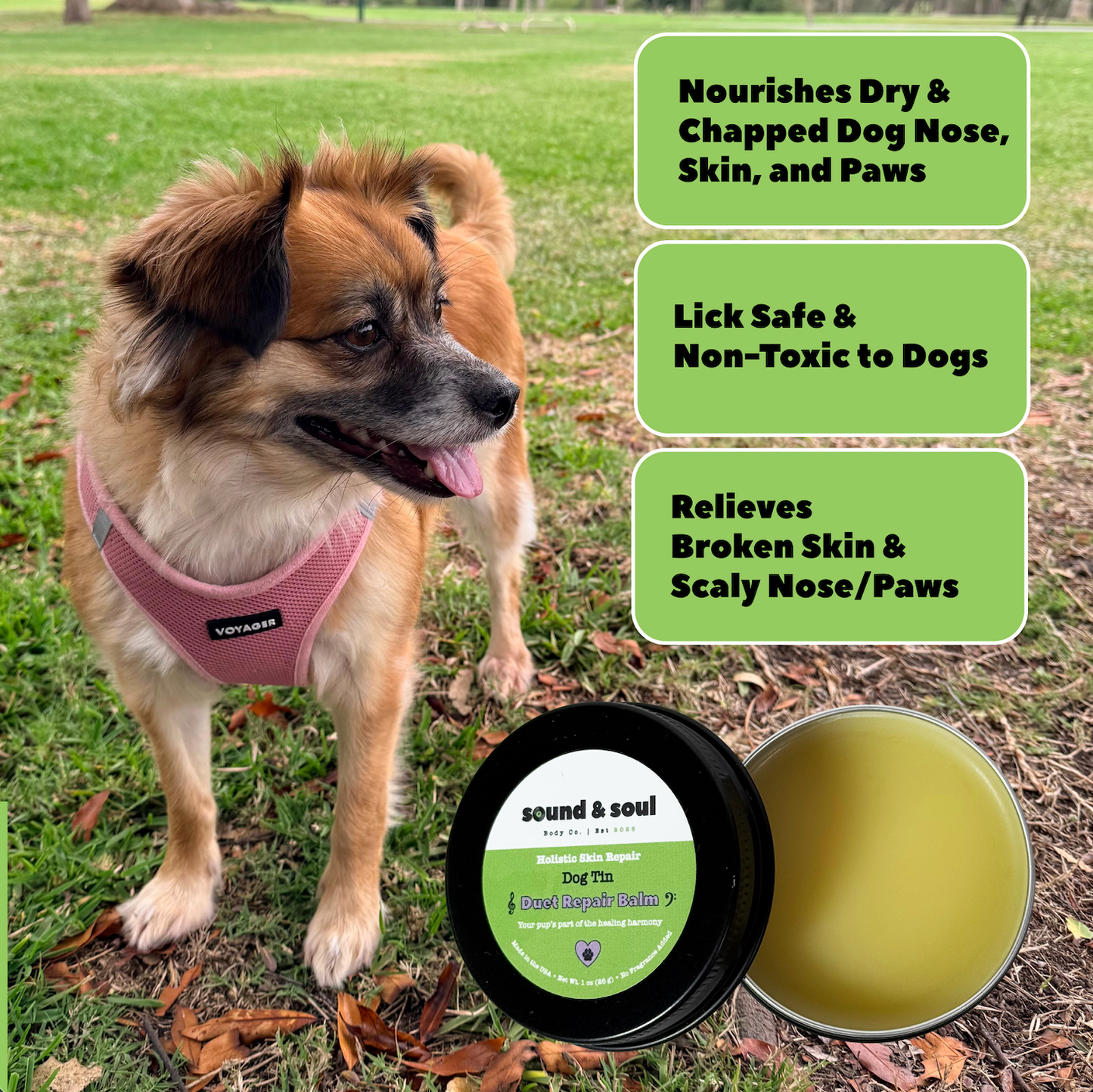 Duet Repair Balm Duo Set | Human & Dog Repair Balm | Calendula Skin & Paw Moisturizer | Matching Pet & Owner Gift